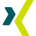 Xing Icon