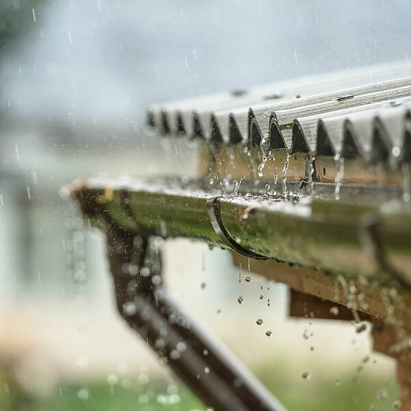 Regen