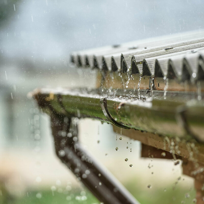 Regen
