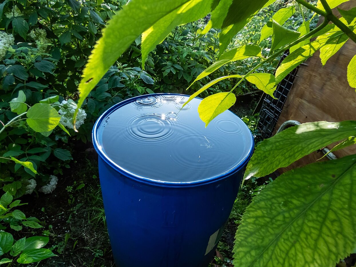shutterstock volle Regentonne im Garten