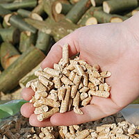 Holzpellets