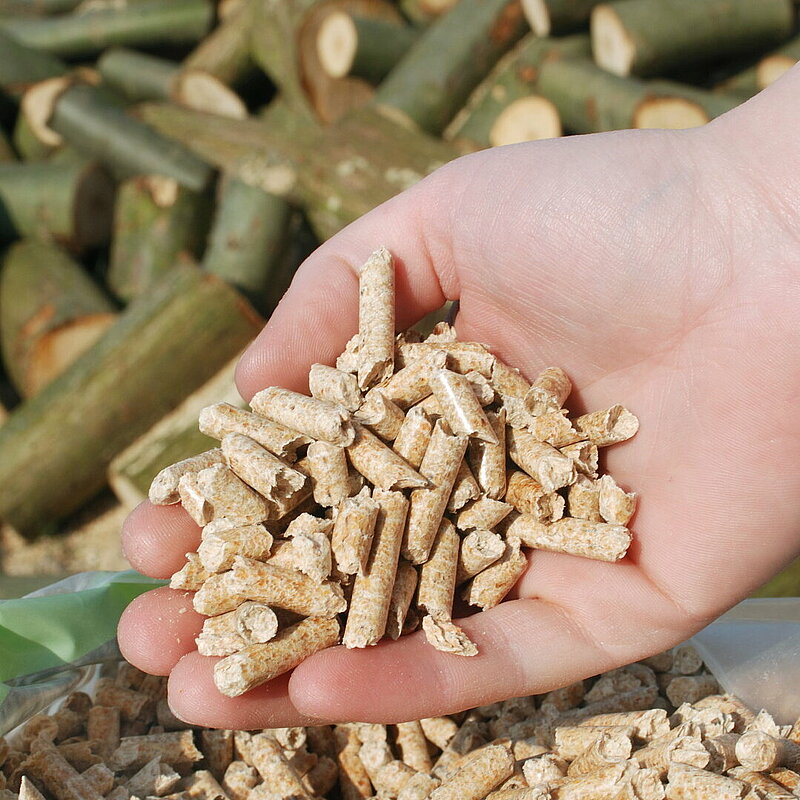 Holzpellets